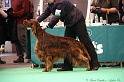 Crufts2011 820